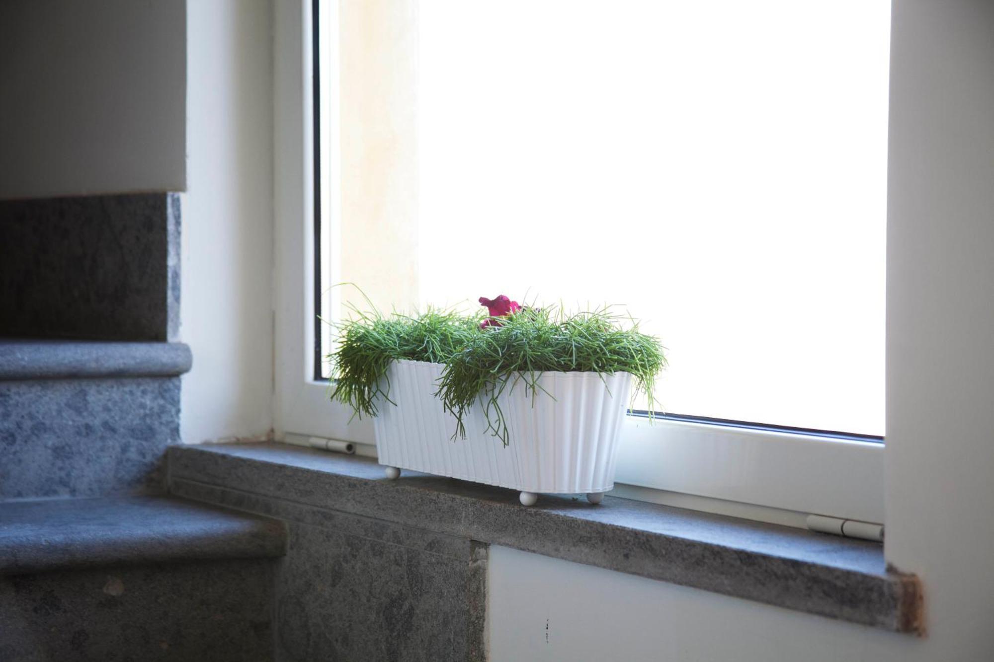 Albergo Da Benedetta Vetralla Buitenkant foto