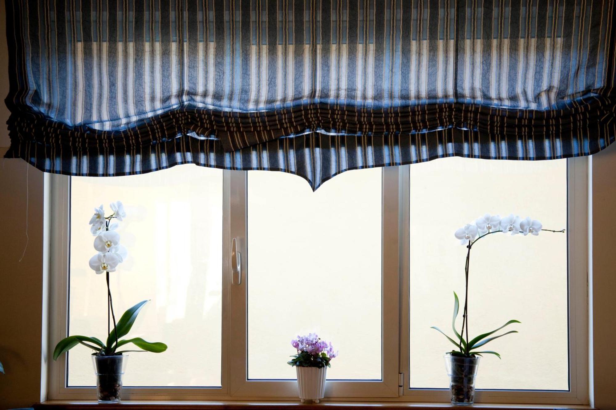 Albergo Da Benedetta Vetralla Buitenkant foto